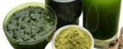 Ayurvedic Medicine & Products