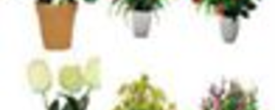 Flower Pots & Artificial Plants