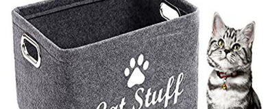 Pet Apparel & Accessories