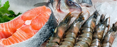 Sea Foods