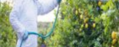 Herbicides & Fungicides