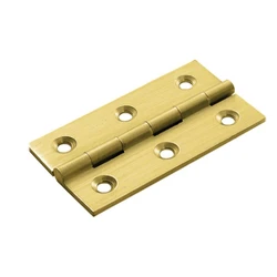 Gold Door Hinges