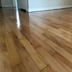 Maple Wooden Flooring
