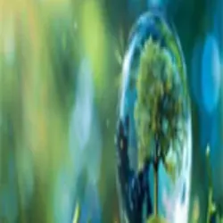 Environmental Consultants, Application Area Located at Urban Area