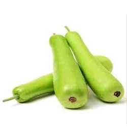 Good Quality Organic Fresh Garden Vegetables Bottle Gourd
