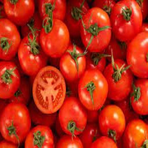 tomato.webp