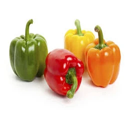 High-quality Organic Fresh Bell Pepper Types Online