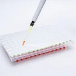 PVC Self Adhesive Foil, Packaging Type Roll