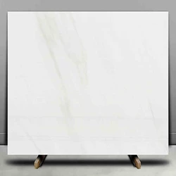 Best Italian White Spider Bianco Marble Flooring Countertops
