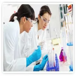 Payroll Software, Service Location PAN India