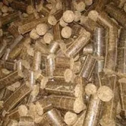 Bio Coal, UsageApplication Used as a fuel in Steam Boiler