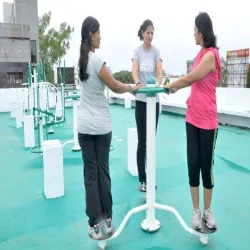 Mild Steel Standing Double Twister, Material Iron