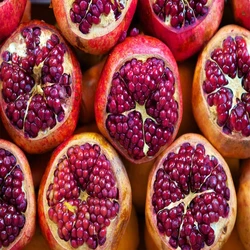 High-quality Nutritious Pomegranate Fresh Fruit Supplier