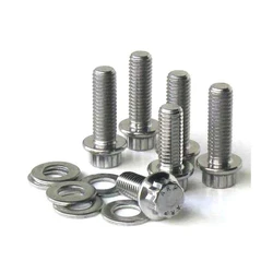 Alloy Stainless Steel Excellent Quality SS Fasteners