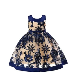 Elegant High-Class Fancy Party Wear Long Frock Design