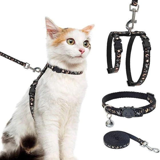 body-harness-for-cats.webp