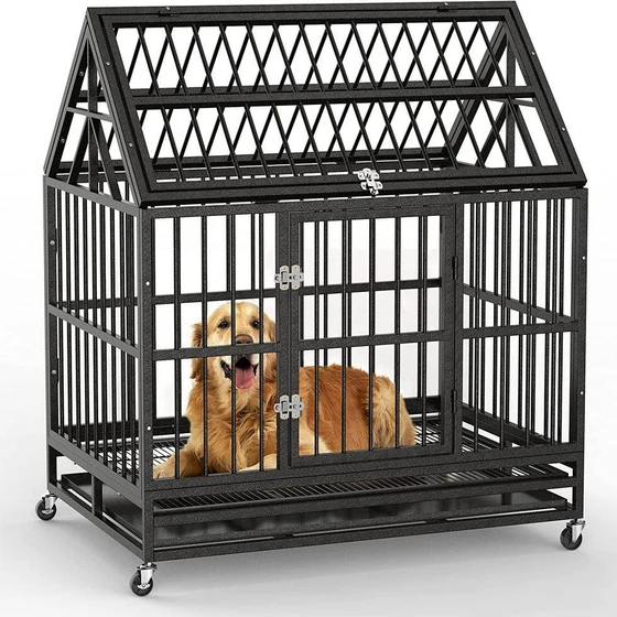 dog-cage-design.webp