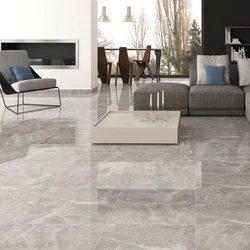 Polished Ceramic Floor Tiles