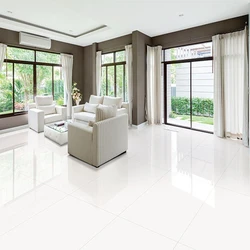 Double-Charged Vitrified Tiles