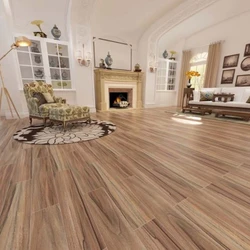 Ceramic Tiles Wooden Finish