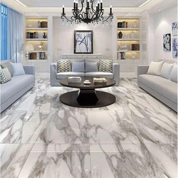Porcelain Floor Tile