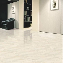Porcelain Floor Tiles