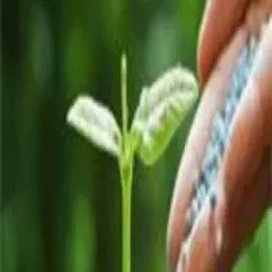 Alvimin Boost-P A Combination of Vitamins, Amino Acids, Phospholipids Minerals, Form Powder
