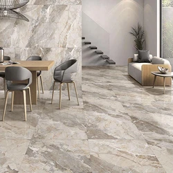 Premium Porcelain Tiles