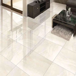 Fine Finish Floor Tiles