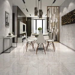 Glossy Floor Tiles