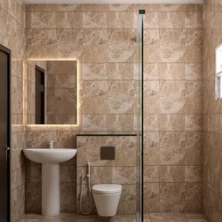 Ceramic Multicolor Bathroom Tiles
