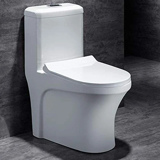 white-western-toilet-1.webp