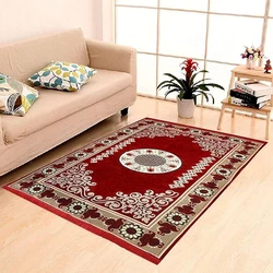 Floor Chenille Carpet Rugs
