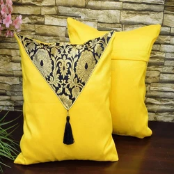 Fancy Designer Cushions 