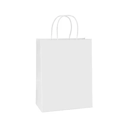 White Paper Carry Bags