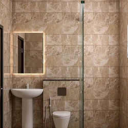 Glossy Sanitary Tiles