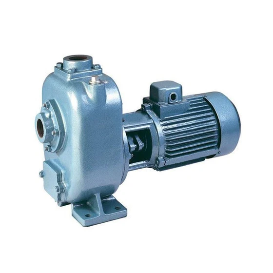 priming-monoblock-pump.webp