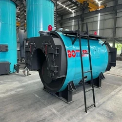 Biomass Steam Boilers