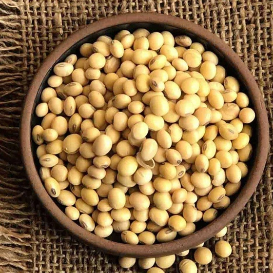 organic-whole-soy-bean-1.webp