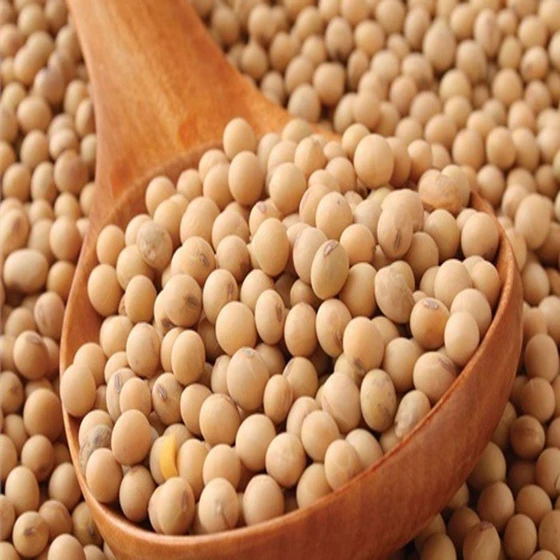 organic-whole-soy-bean-2.webp