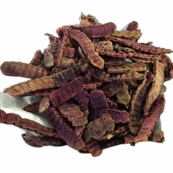 Dried Acacia Concinna