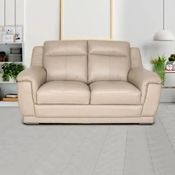 Leather Canvas Sofa