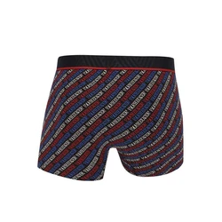 Mens Printed Trunk