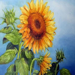 Sunflower Canvas Painting