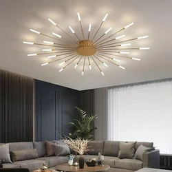 Designer Ceiling Light