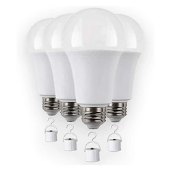 Rechargeable LED Light