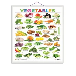 Educational Vegetables Chart