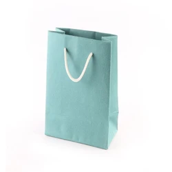 Shopping Paper Bags