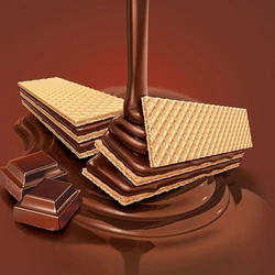Chocolate Wafer Biscuit