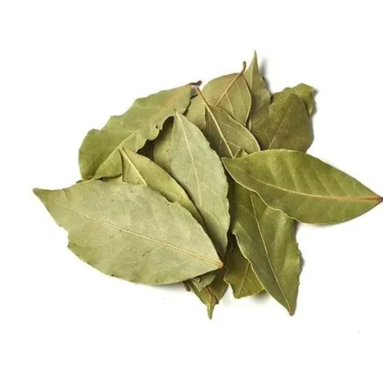 bay-leaf-tej-patta-2.webp